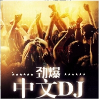 中文DJ 专辑封面