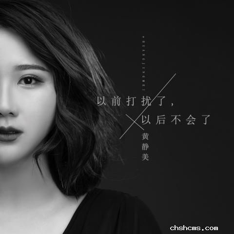 黄静美-以前打扰了，以后不会了 封面