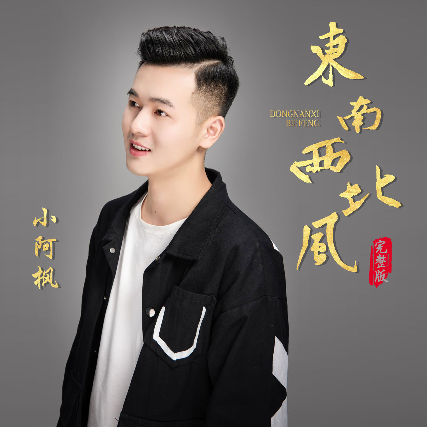 醉倾城-小阿枫 封面