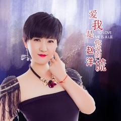 爱我是你说的谎-赵洋 封面