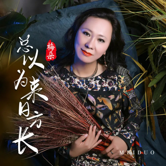总以为来日方长-梅朵 封面
