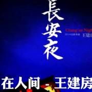王建房-在人间 封面
